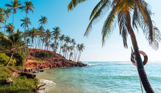 Coconut Tree Hill Sri Lanka